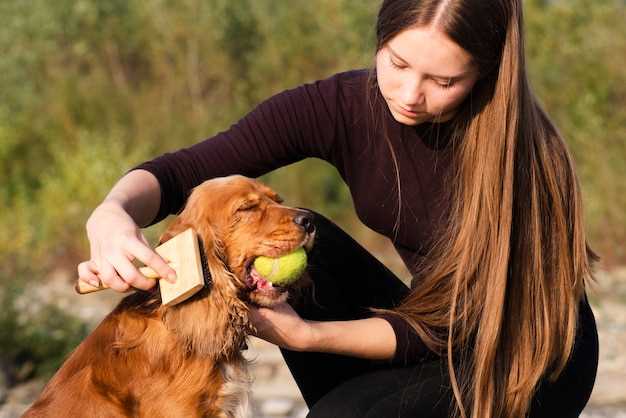 Healing Hearts and Bodies: The Rehabilitation Process for Animal Ambassadors