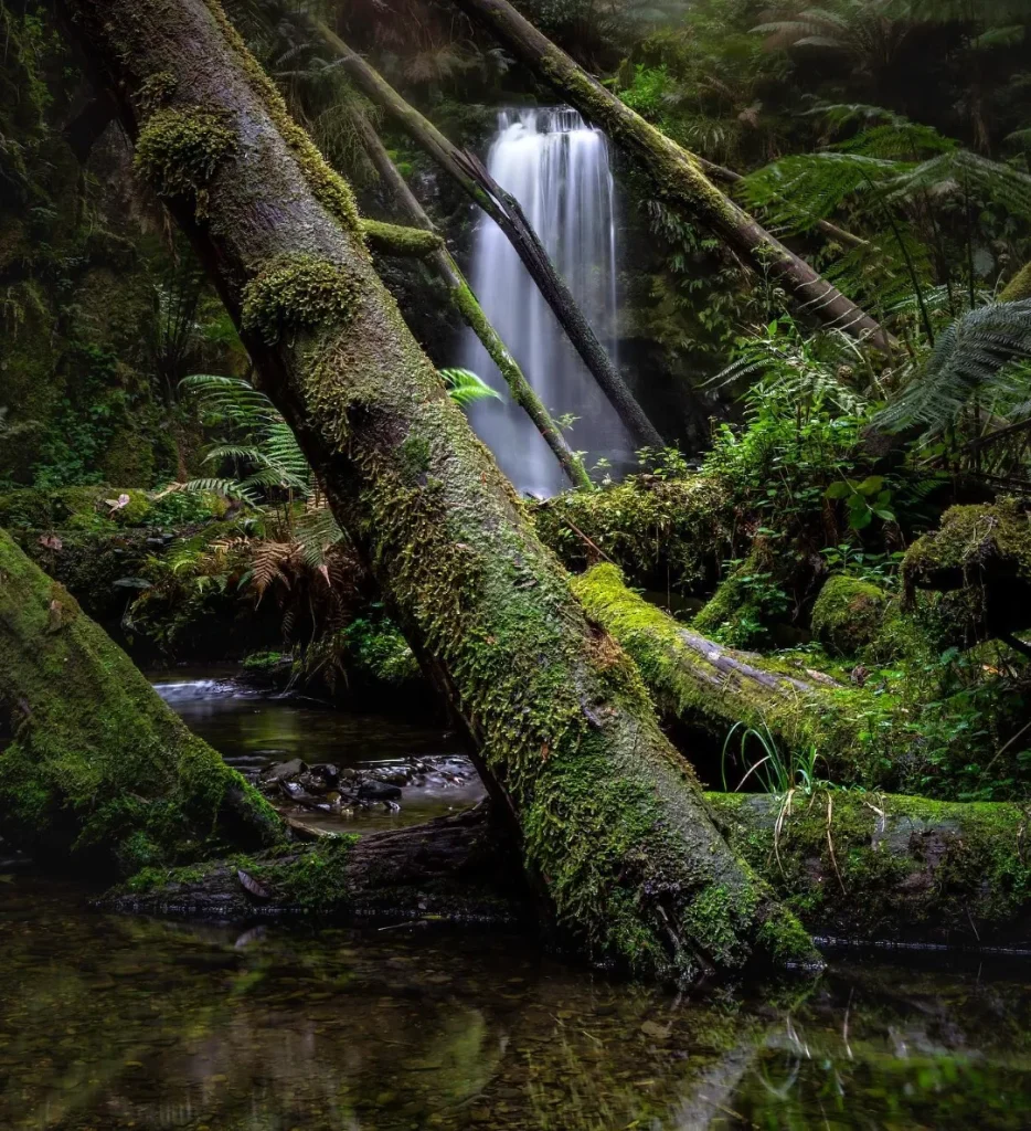 Mariners Falls