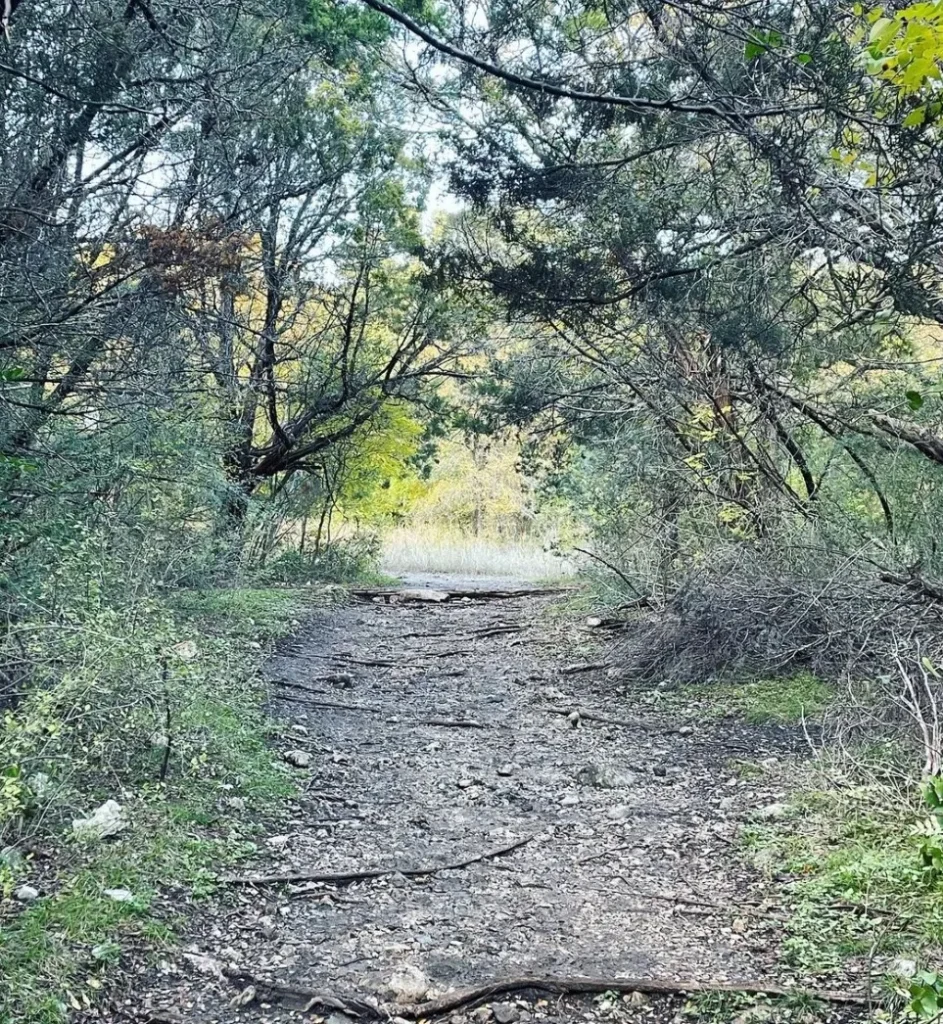 The Best Time to Hike in the Otways