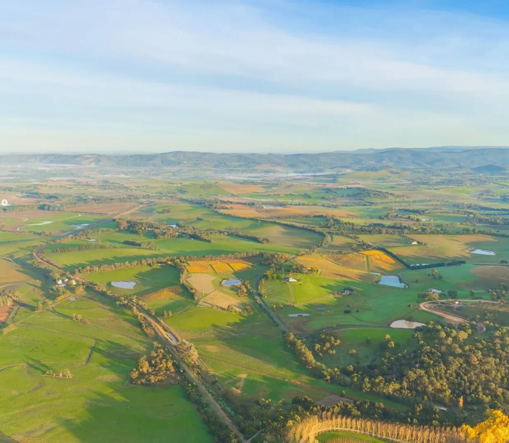 The Impact of Weather on Yarra Valley Wines