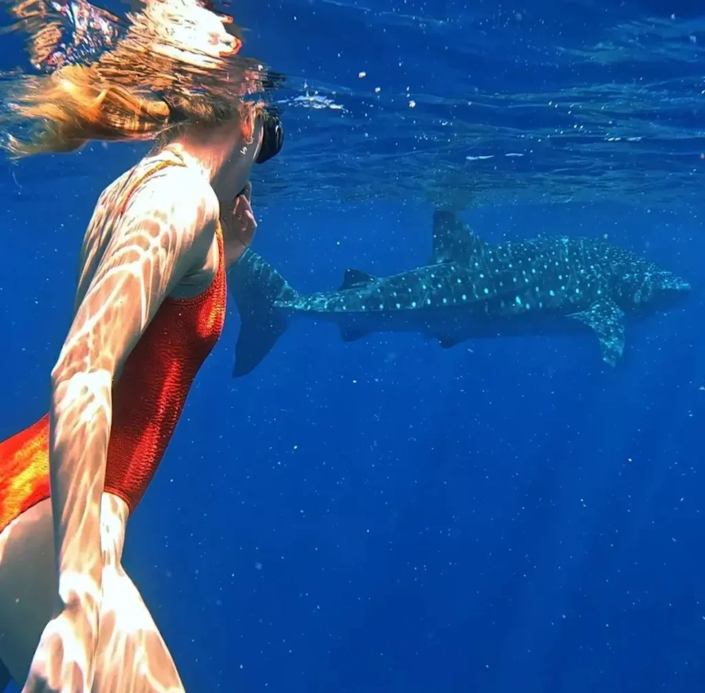 Ningaloo Reef Photography