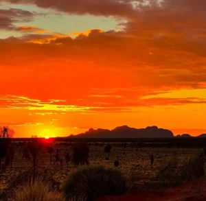 The Best Apps and Resources for Your Uluru Trip