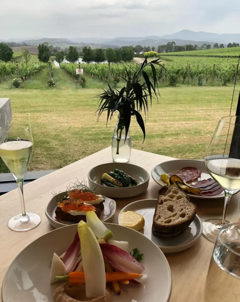 Best Yarra Valley Wineries for Food and Wine Pairings