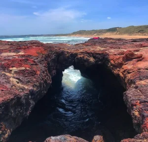 Fun fact about Phillip Island
