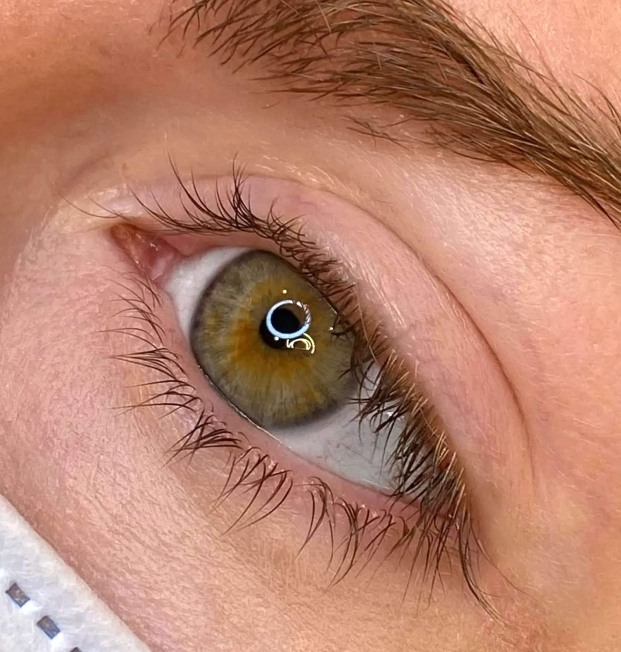 lash shedding after eyeliner tattoo